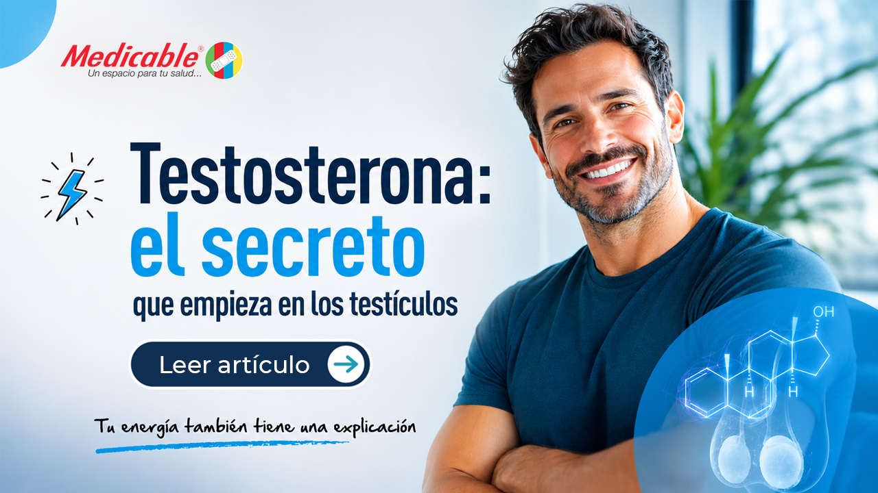Testículos y testosterona