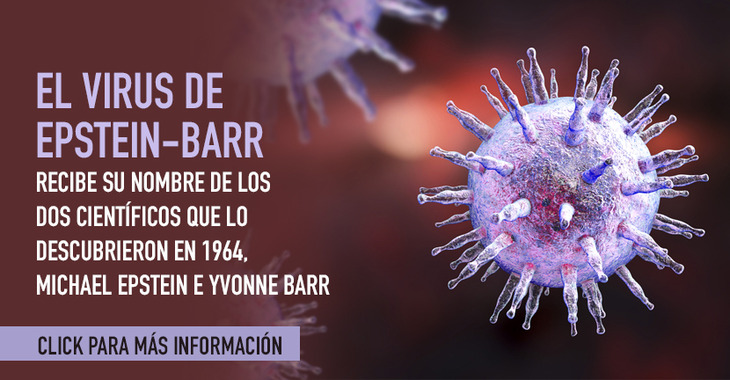 Virus de Epstein-Barr