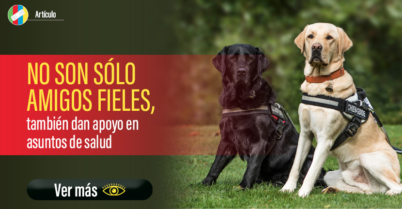 No son sólo amigos fieles, también dan apoyo en asuntos de salud.