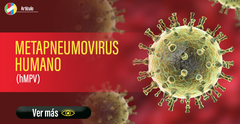 Metapneumovirus humano (hMPV)