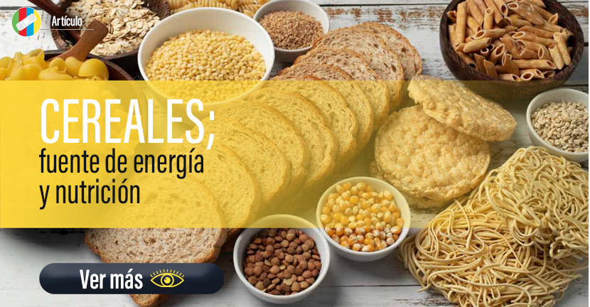 Cereales, fuente de energía y nutrición.