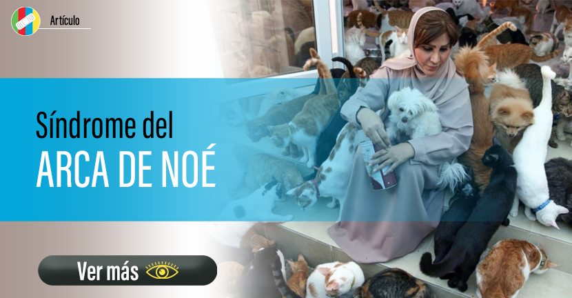 Síndrome del Arca de Noé