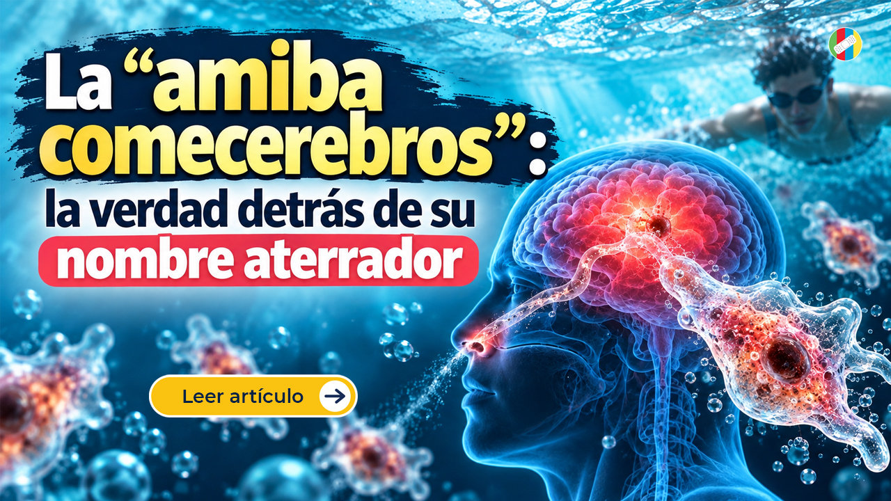 La “amiba comecerebros”: la verdad detrás de su nombre aterrador