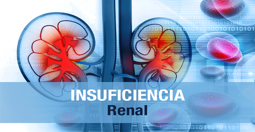Insuficiencia Renal
