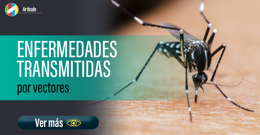 Enfermedades transmitidas por vectores