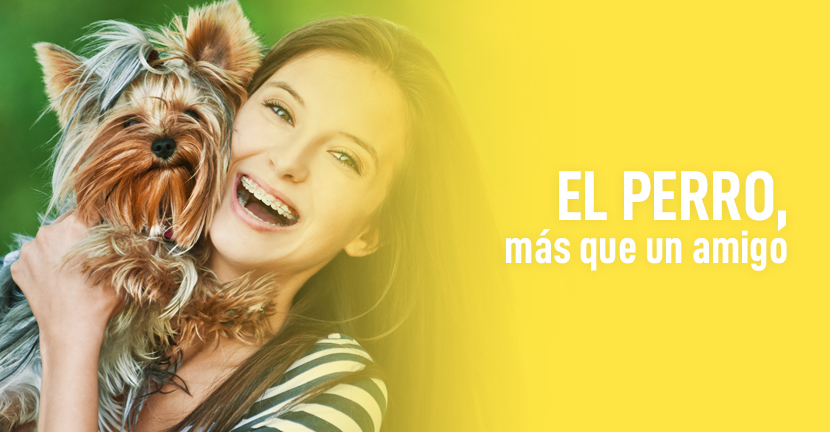 El perro, más que un amigo