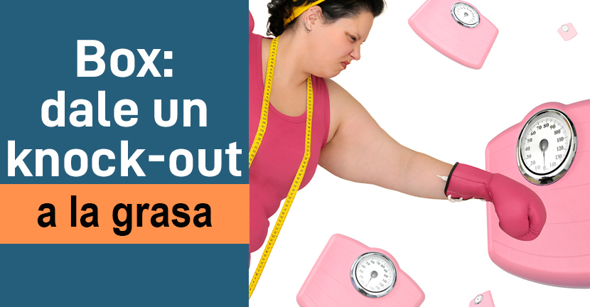 Box: dale un knock-out a la grasa