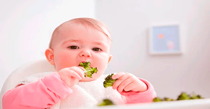 Cinco tips para introducir alimentos sólidos en la dieta de tu bebé