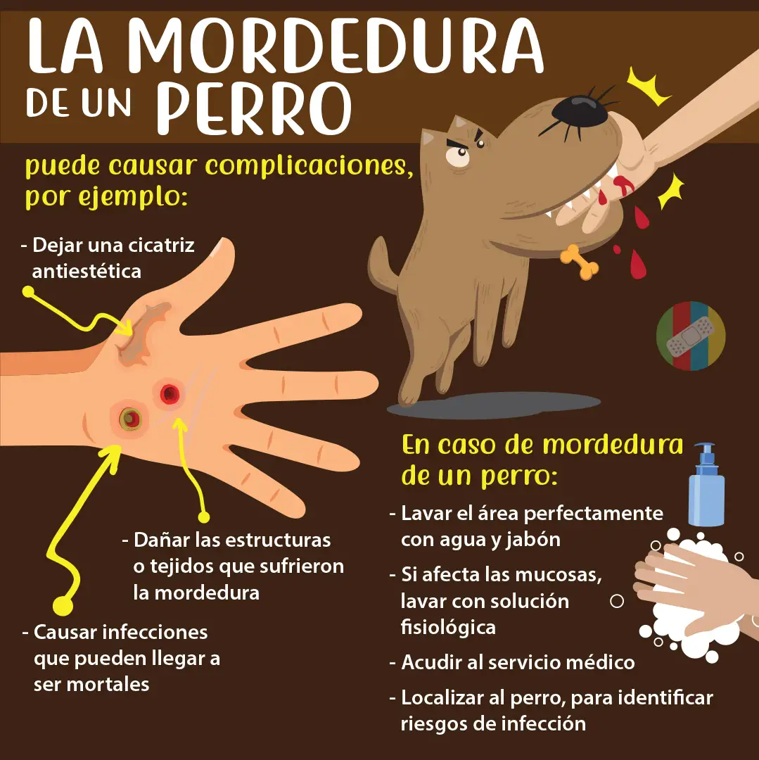 La mordedura de un perro