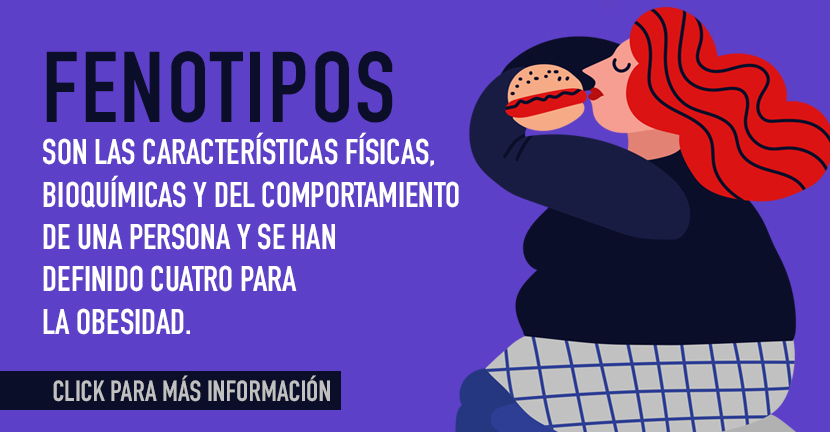 4 fenotipos de obesidad