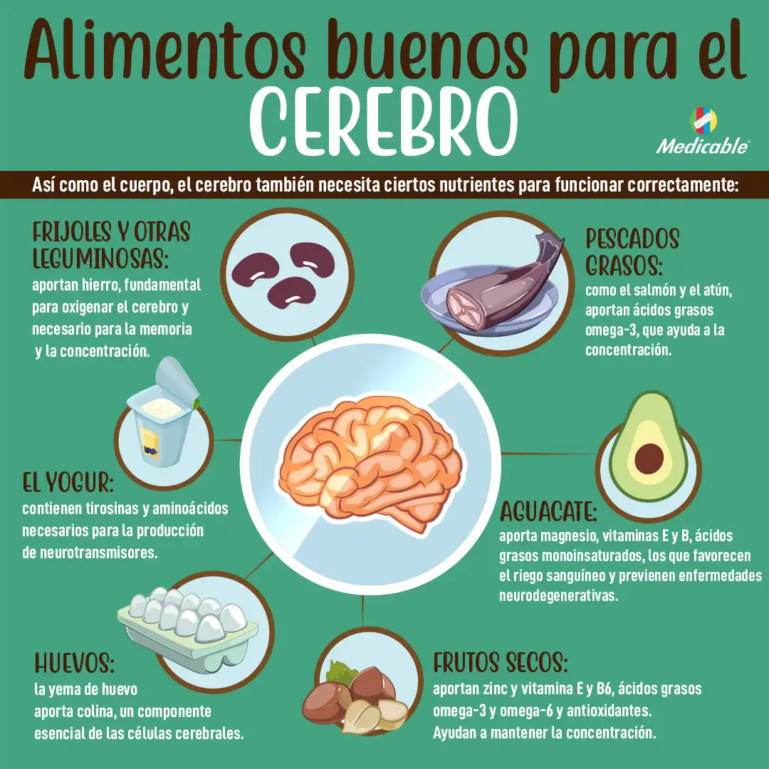 Alimentos buenos para el cerebro