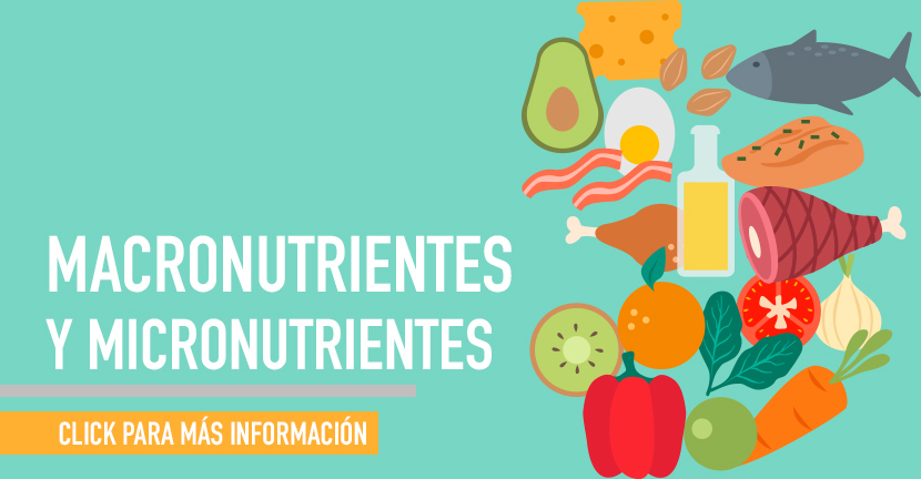 Micro nutrientes y Macro nutrientes