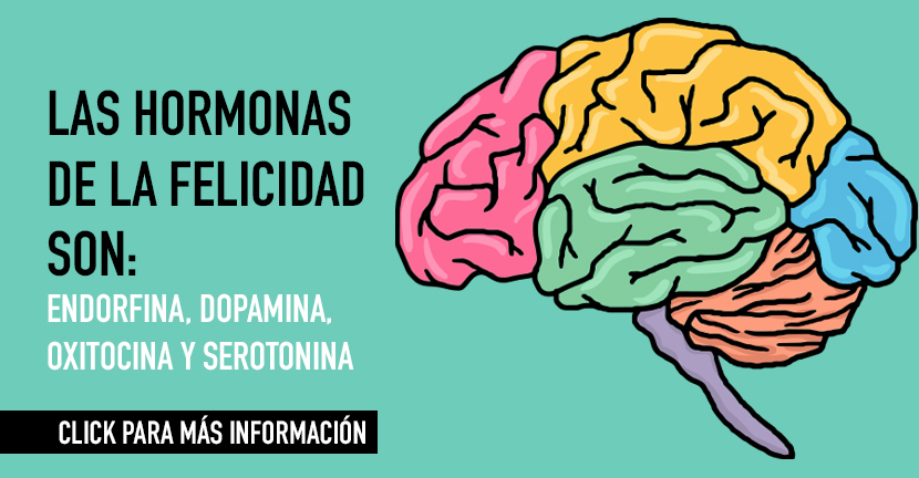 Hormonas de la felicidad