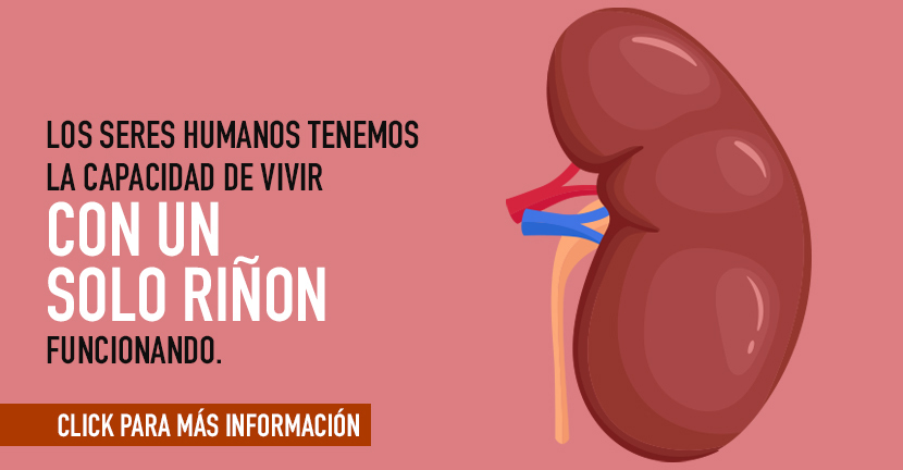 Tienes diabetes cuida tus riñones