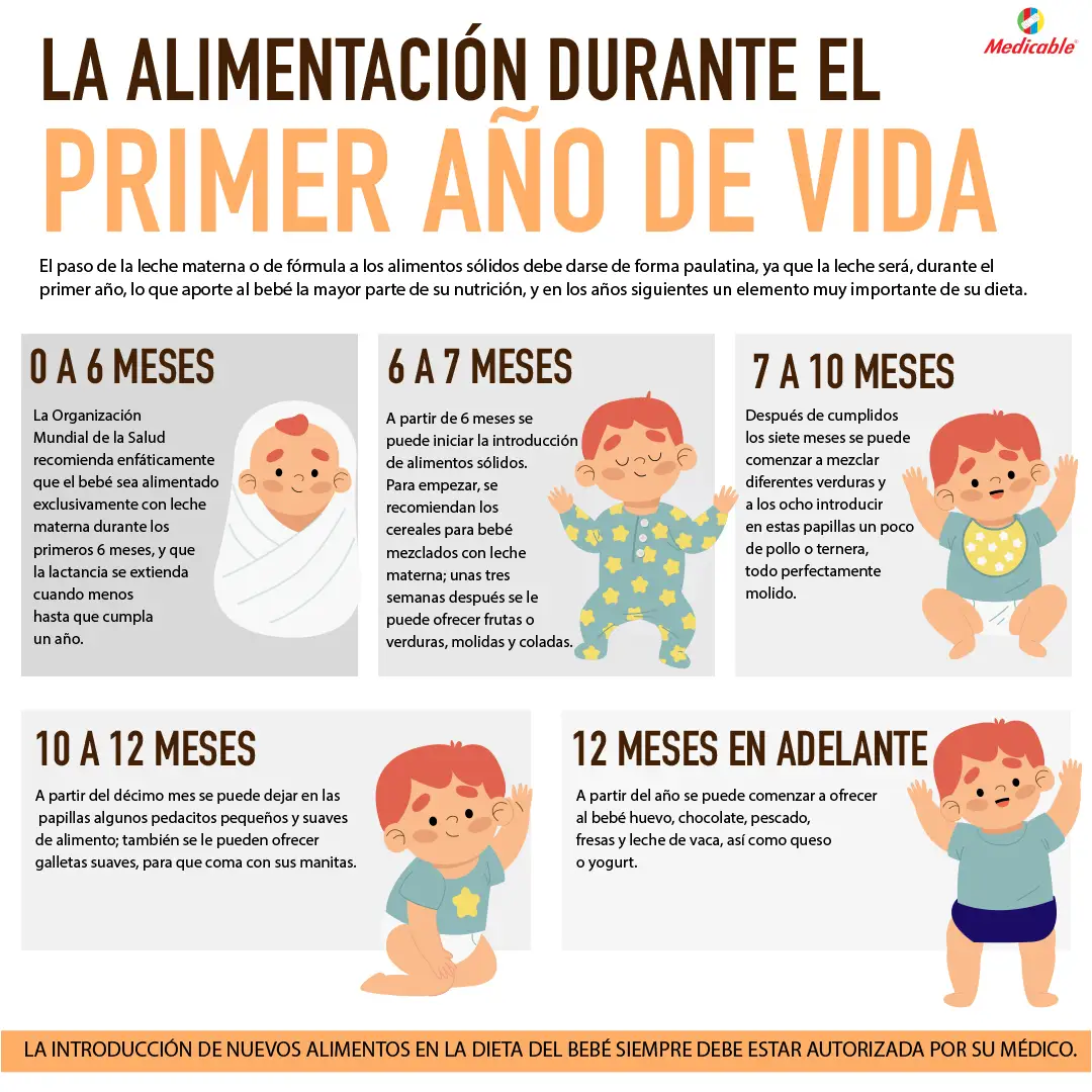 La alimentación durante el primer año de vida.