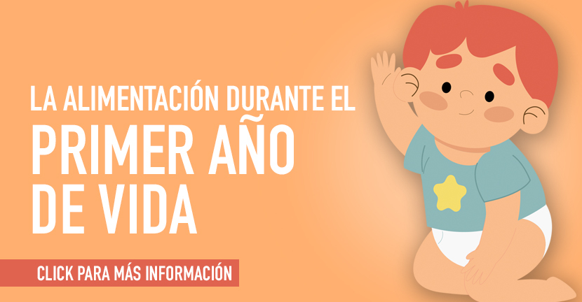 La alimentación durante el primer año de vida.