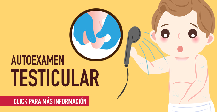 Autoexamen testicular