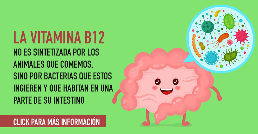 Deficiencia de vitamina B12