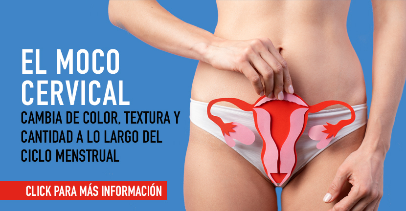 Conoce tu moco cervical