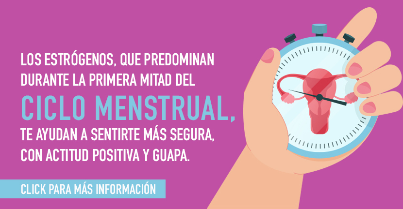 El ciclo menstrual