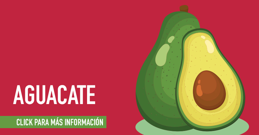 Aguacate