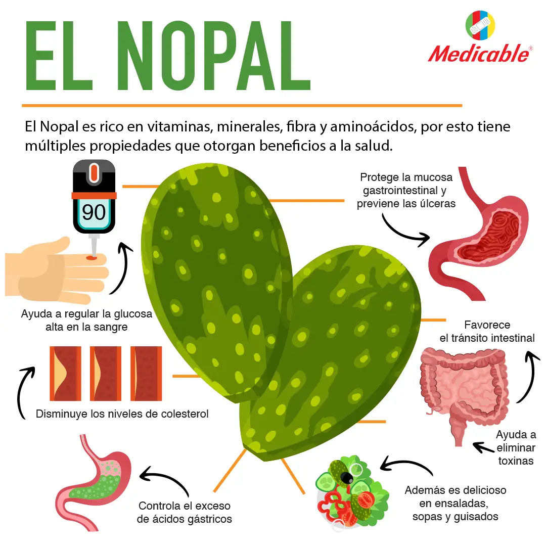 El nopal