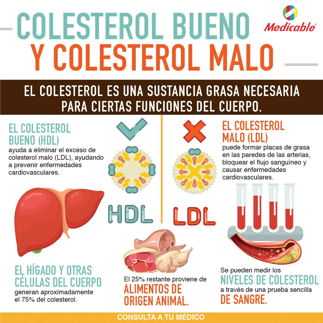 El colesterol bueno y el colesterol malo