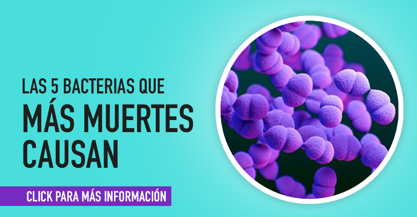 Las 5 bacterias que más muertes causan