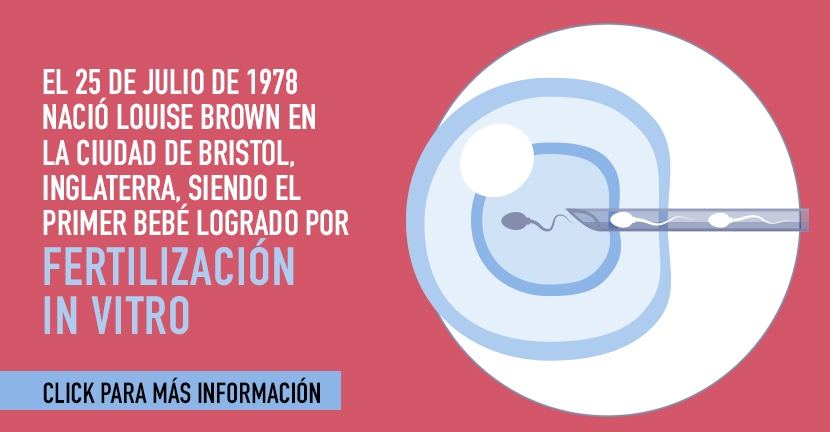 Fertilización invitro