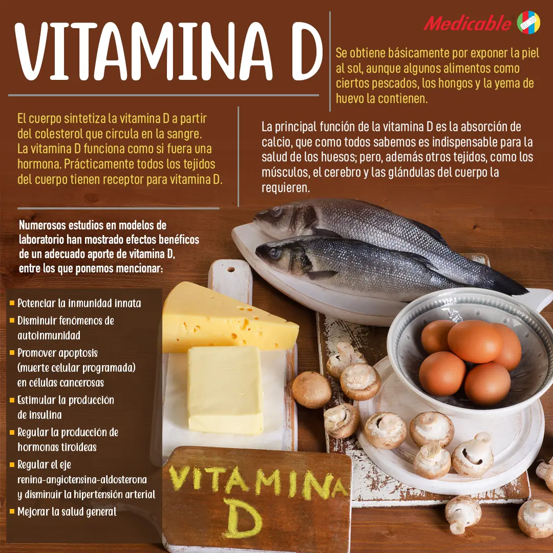 EL cuerpo sintetiza la vitamina D