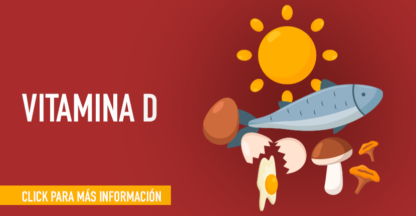 EL cuerpo sintetiza la vitamina D
