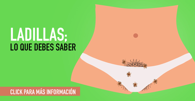 Ladillas; lo que debes saber