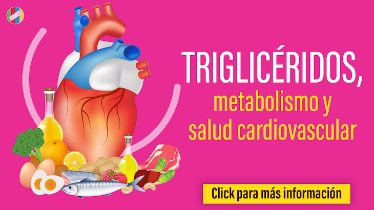 Triglicéridos metabolismo y salud cardiovascular