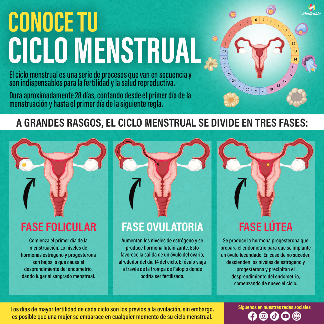 Conoce tu ciclo menstrual