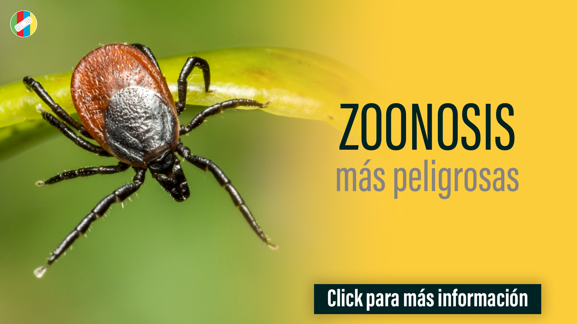 Zoonosis más peligrosas