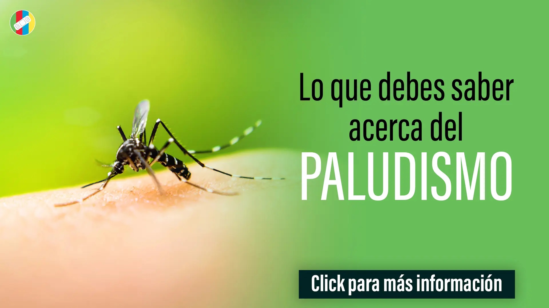 Lo que debes saber acerca del paludismo.