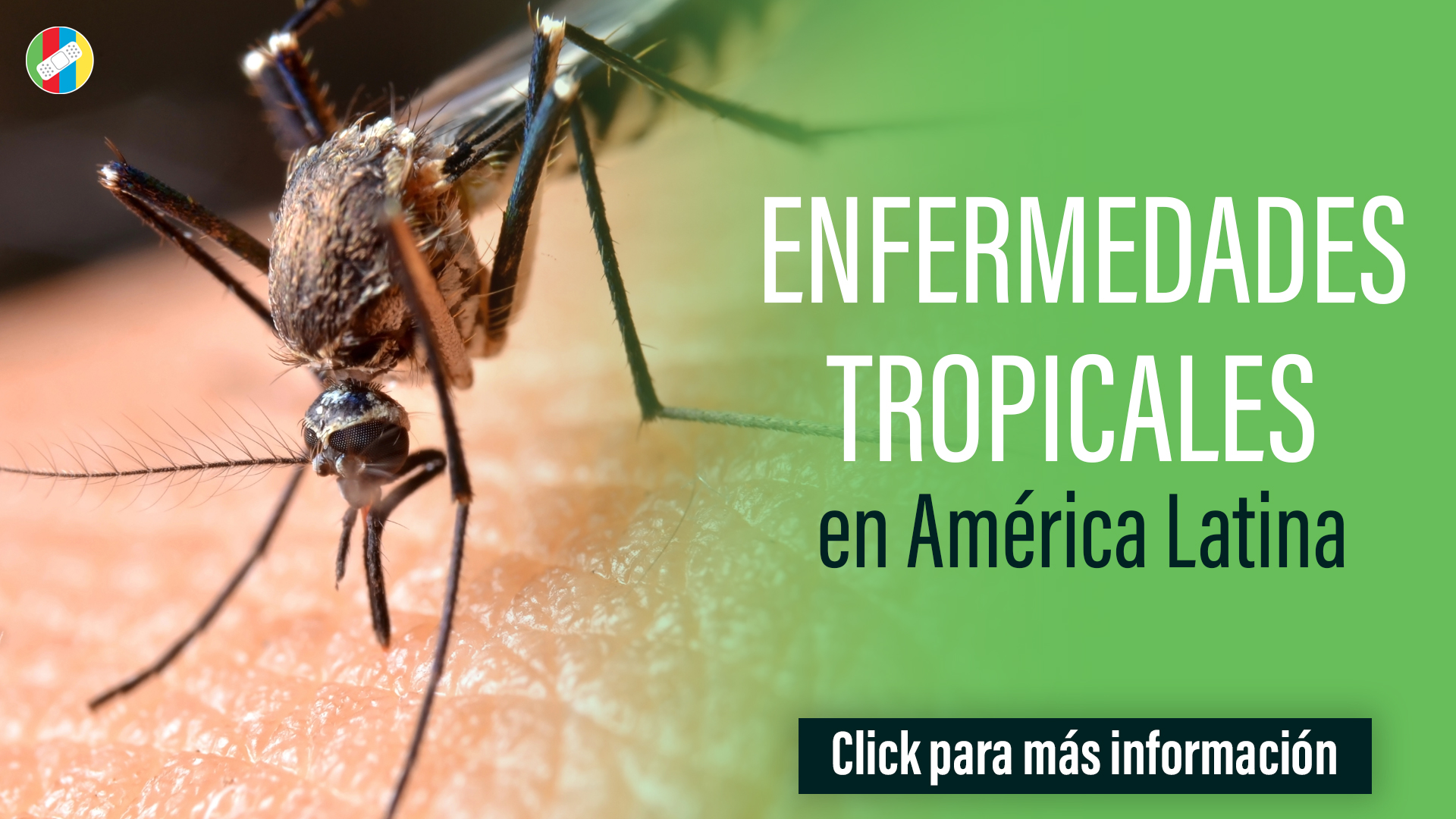 Enfermedades Tropicales en América Latina.