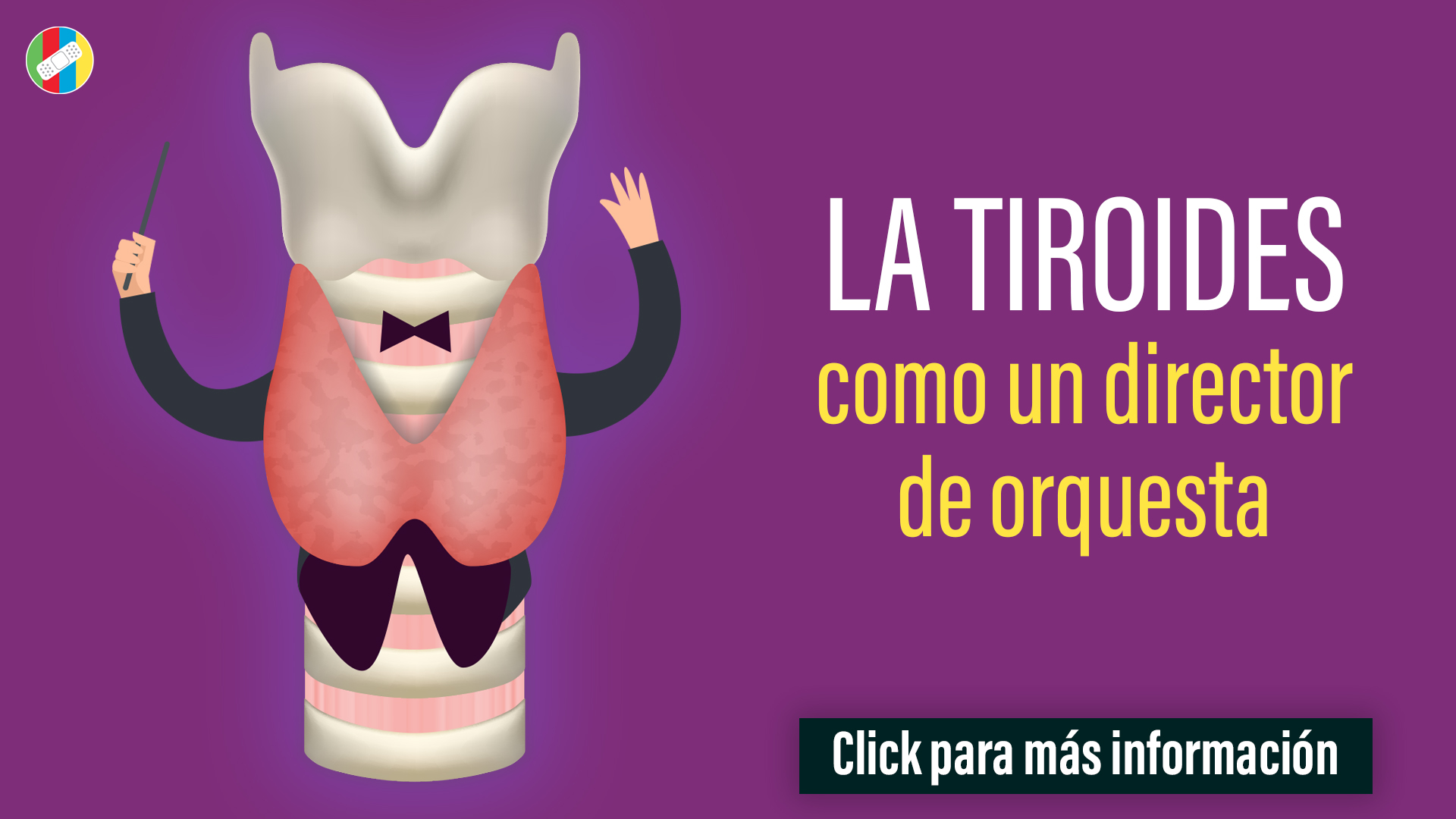 La Tiroides como un director de orquesta.