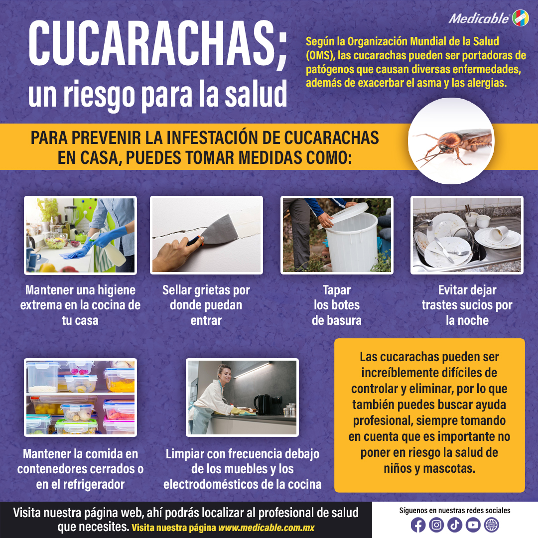 Cucarachas, un riesgo para la salud.