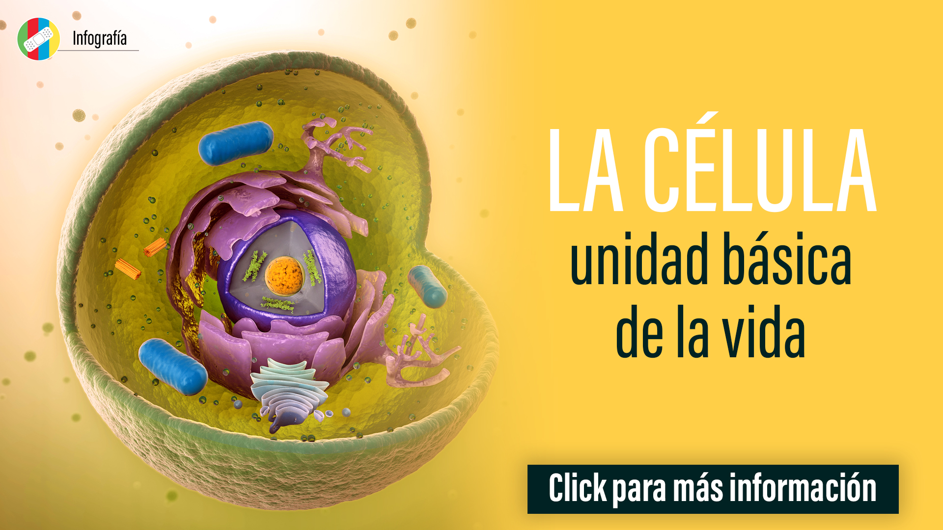 La célula, unidad básica de la vida