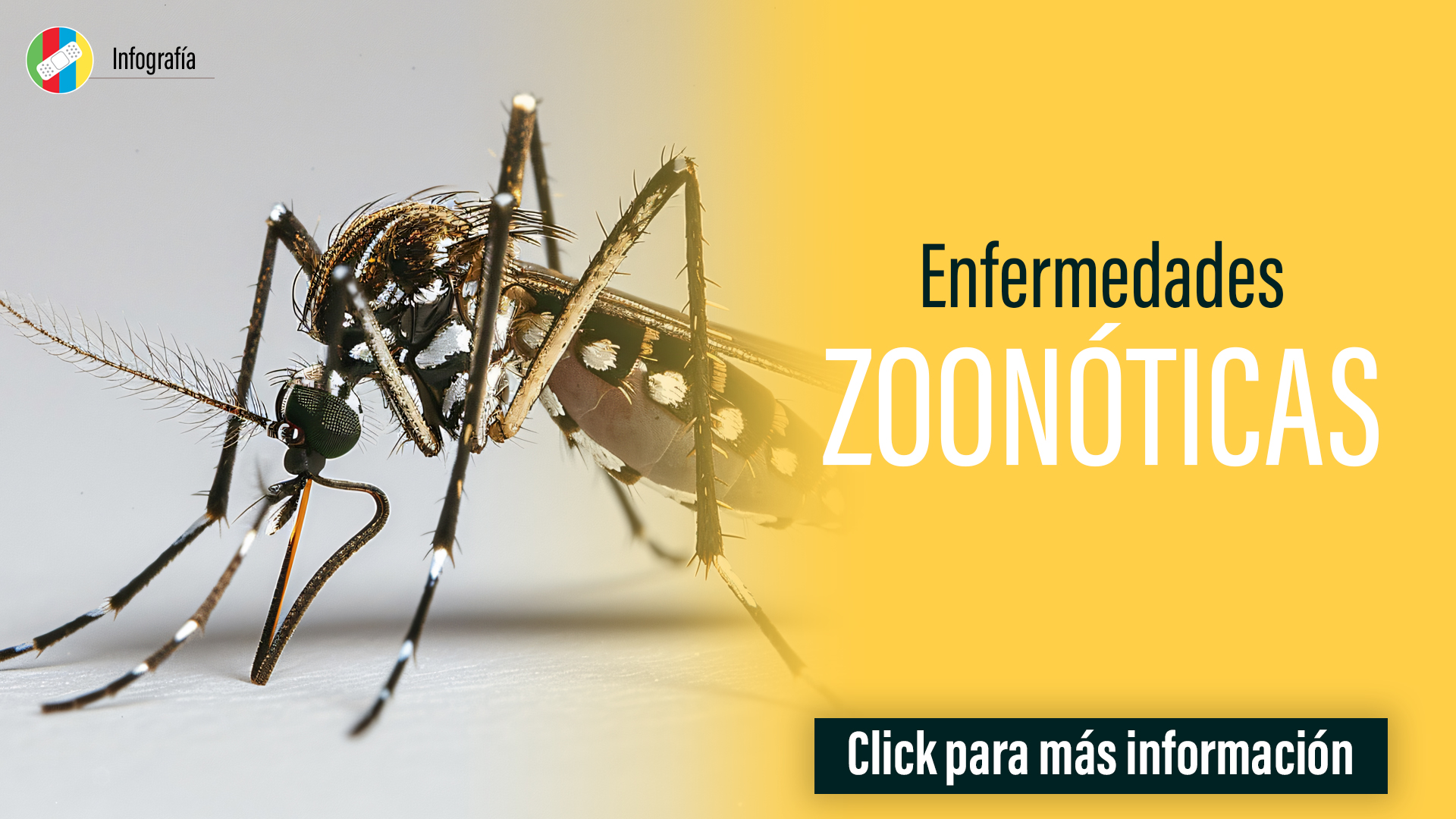 Enfermedades Zoonóticas.