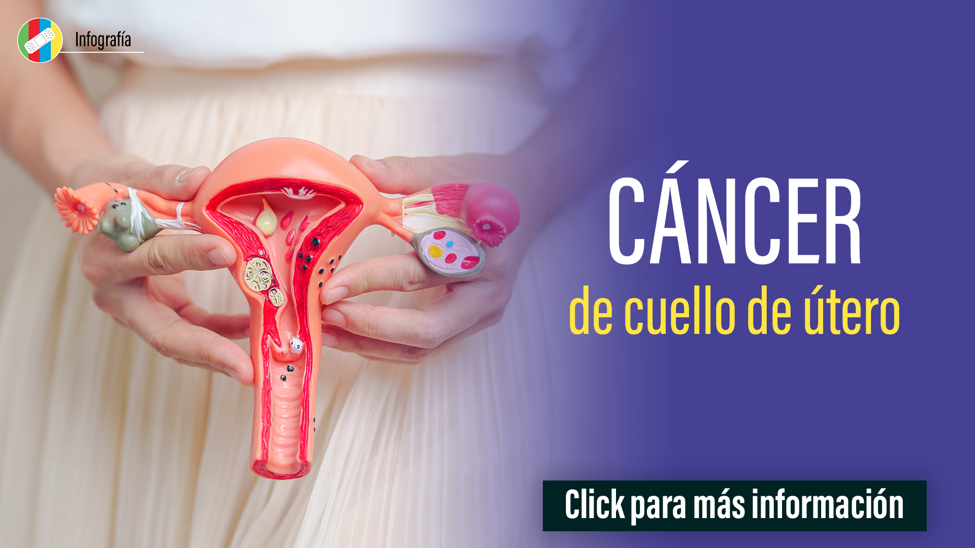 Cáncer de cuello e útero.